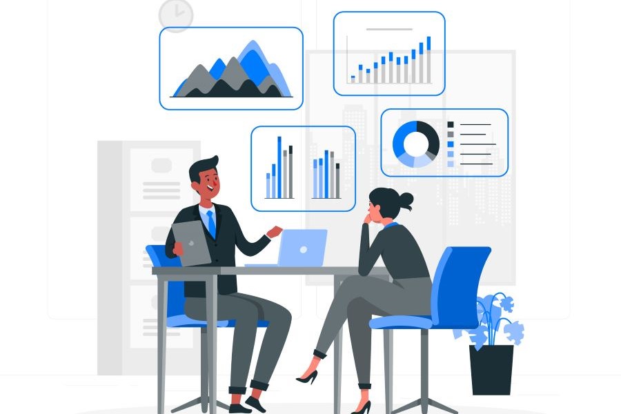 ERP Project Advisory